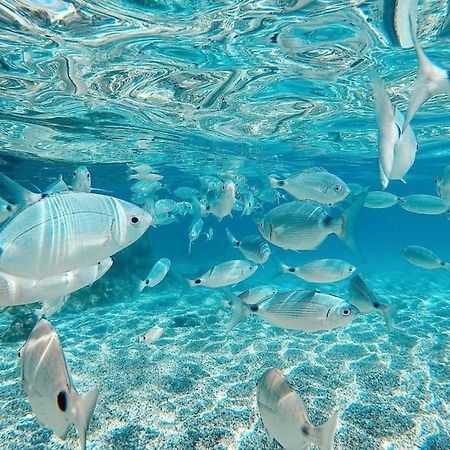 El Playaiso De Aguamarga Lägenhet Agua Amarga  Exteriör bild